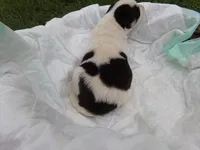 processed/b939f83a-b592-4c0b-b2e9-ec45603cdc10/facility/74e1a9ad-a501-4b81-8415-21c7fd0aa9af