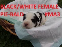 processed/b939f83a-b592-4c0b-b2e9-ec45603cdc10/facility/9ddffd00-5b00-4782-bd22-713bfb5dc1fb