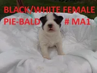 processed/b939f83a-b592-4c0b-b2e9-ec45603cdc10/facility/ab7b4b6c-fd4a-4a0d-a58d-fcda0c617fbc