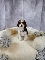 processed/b93d689e-30e3-47b5-9165-da31c792ca56/listing/b281bf64-1a3f-4906-80c8-6d7c418dac2a/26c8a4bd-4408-4727-8281-30af3cb8d331