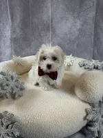 processed/b93d689e-30e3-47b5-9165-da31c792ca56/listing/d2430c32-3699-4726-b56f-57c3d2155ecb/c06d49ae-6bec-40b0-b894-3180c1a19a7c