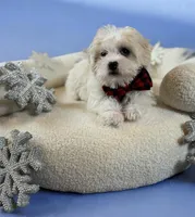 processed/b93d689e-30e3-47b5-9165-da31c792ca56/listing/d2430c32-3699-4726-b56f-57c3d2155ecb/f84e3653-56a8-423b-bbbb-f5f80b4c48ae