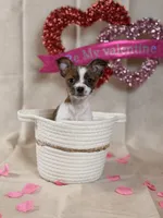 processed/b93d689e-30e3-47b5-9165-da31c792ca56/listing/d8cbb0d5-68ab-440d-9b95-721966d7c655/0fe828e7-2f25-4128-88b0-6b9d29afda14