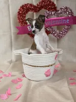 processed/b93d689e-30e3-47b5-9165-da31c792ca56/listing/d8cbb0d5-68ab-440d-9b95-721966d7c655/3247592b-e946-4888-aaa1-8ca0cfcb0adf