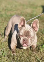 processed/b942093a-6c5b-4ccf-9184-c7d8d297b20a/listing/2492f0ce-cd31-40ad-b996-cf5132b3a630/0f54fa1e-ee04-4922-8943-cf2dcf789e31