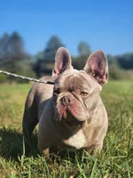 processed/b942093a-6c5b-4ccf-9184-c7d8d297b20a/listing/2492f0ce-cd31-40ad-b996-cf5132b3a630/1a3d8c9b-7853-4d60-b31e-9f67c8ac6c00