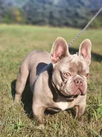 processed/b942093a-6c5b-4ccf-9184-c7d8d297b20a/listing/2492f0ce-cd31-40ad-b996-cf5132b3a630/b4752e12-3262-4956-b245-8d03e95cfa81