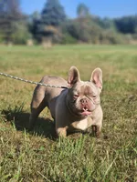 processed/b942093a-6c5b-4ccf-9184-c7d8d297b20a/listing/2492f0ce-cd31-40ad-b996-cf5132b3a630/ca05f472-7ea2-4ce1-8a93-1a5548806c76