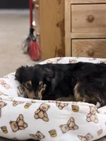 processed/b9423e81-4bb4-4394-957e-b5a8ea2d32e3/listing/0c753588-a04f-48d1-bdc8-b669bcb8f0cc/3e150c89-5271-41f0-9758-298259891271