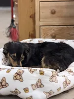 processed/b9423e81-4bb4-4394-957e-b5a8ea2d32e3/listing/0c753588-a04f-48d1-bdc8-b669bcb8f0cc/6f49d084-6bce-40d5-ba47-a0b2c808f76f