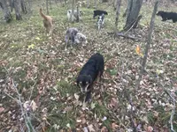 processed/b9423e81-4bb4-4394-957e-b5a8ea2d32e3/listing/0c753588-a04f-48d1-bdc8-b669bcb8f0cc/b1a32194-5410-40a4-9207-9c1b2f70c139