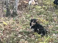 processed/b9423e81-4bb4-4394-957e-b5a8ea2d32e3/listing/0c753588-a04f-48d1-bdc8-b669bcb8f0cc/bbbb07cc-387c-4058-bc66-f481c4773db3