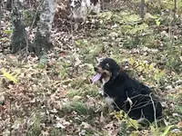 processed/b9423e81-4bb4-4394-957e-b5a8ea2d32e3/listing/0c753588-a04f-48d1-bdc8-b669bcb8f0cc/d27530a2-e835-46e6-883b-8edd568e4ab2