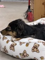 processed/b9423e81-4bb4-4394-957e-b5a8ea2d32e3/listing/0c753588-a04f-48d1-bdc8-b669bcb8f0cc/f01294e4-15a7-4124-bc41-1eafb9385a1f