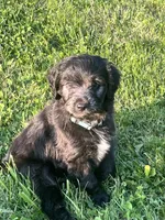 processed/b9423e81-4bb4-4394-957e-b5a8ea2d32e3/listing/5689cad7-d154-4f22-8cd9-fb215bfe21a3/2b0cfff0-e637-464a-812d-364c9fc0591f