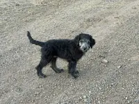 processed/b9423e81-4bb4-4394-957e-b5a8ea2d32e3/listing/5689cad7-d154-4f22-8cd9-fb215bfe21a3/2d2cad49-a002-441f-a12b-0a79b762d716