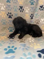 processed/b9423e81-4bb4-4394-957e-b5a8ea2d32e3/listing/5689cad7-d154-4f22-8cd9-fb215bfe21a3/4b8f6a5e-ad4b-4d09-84a6-2b36801f6d8a