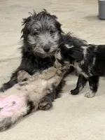 processed/b9423e81-4bb4-4394-957e-b5a8ea2d32e3/listing/5689cad7-d154-4f22-8cd9-fb215bfe21a3/84ae4dc0-9663-4e27-bd60-a636f2d0be69