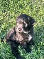 processed/b9423e81-4bb4-4394-957e-b5a8ea2d32e3/listing/5689cad7-d154-4f22-8cd9-fb215bfe21a3/966e04c9-f6b4-45be-b84c-26a20cf0d571