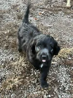 processed/b9423e81-4bb4-4394-957e-b5a8ea2d32e3/listing/5689cad7-d154-4f22-8cd9-fb215bfe21a3/9997df6a-f72b-4755-a203-5c87a570dcd0