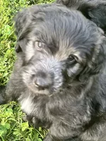 processed/b9423e81-4bb4-4394-957e-b5a8ea2d32e3/listing/5689cad7-d154-4f22-8cd9-fb215bfe21a3/a74534ab-a131-4c90-843f-dfdccaf77969