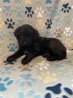 processed/b9423e81-4bb4-4394-957e-b5a8ea2d32e3/listing/5689cad7-d154-4f22-8cd9-fb215bfe21a3/ba8c507f-c58c-4a87-bd3a-c117d2ba261a