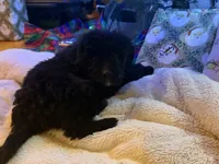 processed/b9423e81-4bb4-4394-957e-b5a8ea2d32e3/listing/97448f37-f711-4b64-8e22-98a1e98eda8a/158f6a9b-6c98-48ae-8bba-93b1ad17b3ba