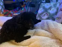 processed/b9423e81-4bb4-4394-957e-b5a8ea2d32e3/listing/97448f37-f711-4b64-8e22-98a1e98eda8a/22d3270b-2361-4d11-b7e3-f9d38fe5656e