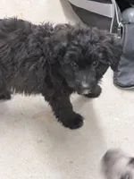 processed/b9423e81-4bb4-4394-957e-b5a8ea2d32e3/listing/97448f37-f711-4b64-8e22-98a1e98eda8a/86f9dff6-0316-4296-b870-6f150643f1b6