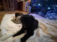 processed/b9423e81-4bb4-4394-957e-b5a8ea2d32e3/listing/97448f37-f711-4b64-8e22-98a1e98eda8a/967bd90e-6f37-4195-bfec-407edfdcda3a