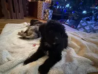 processed/b9423e81-4bb4-4394-957e-b5a8ea2d32e3/listing/97448f37-f711-4b64-8e22-98a1e98eda8a/99642b53-8fba-4feb-9547-7fb4bccfe56f