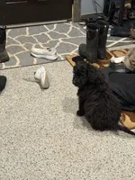 processed/b9423e81-4bb4-4394-957e-b5a8ea2d32e3/listing/97448f37-f711-4b64-8e22-98a1e98eda8a/ad1a59e1-d0c9-4cfb-8e7a-7ed162c76f01