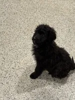 processed/b9423e81-4bb4-4394-957e-b5a8ea2d32e3/listing/97448f37-f711-4b64-8e22-98a1e98eda8a/f2b16321-0274-44d1-8a61-3e2d2f2b2f92