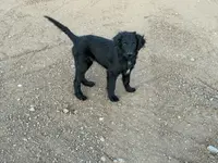 processed/b9423e81-4bb4-4394-957e-b5a8ea2d32e3/listing/cd8553d8-c96f-4d3e-b713-a1550e851472/3228181a-b9d3-4d5d-90a0-f896a21a1dbb