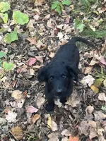 processed/b9423e81-4bb4-4394-957e-b5a8ea2d32e3/listing/cd8553d8-c96f-4d3e-b713-a1550e851472/364435fe-dbaf-498f-99eb-9fe6dd4bda33