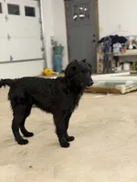 processed/b9423e81-4bb4-4394-957e-b5a8ea2d32e3/listing/cd8553d8-c96f-4d3e-b713-a1550e851472/7d97b2ab-a12e-4a61-8a1d-b940ca097361