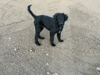 processed/b9423e81-4bb4-4394-957e-b5a8ea2d32e3/listing/cd8553d8-c96f-4d3e-b713-a1550e851472/9a16dfd4-2979-44cb-80ea-dda23681d20f