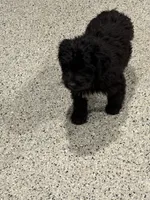 processed/b9423e81-4bb4-4394-957e-b5a8ea2d32e3/listing/d9f01012-06c3-439c-9fae-cf790c8ff624/36b9bc9b-2b1f-46ed-aa30-421096a3d720