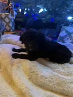 processed/b9423e81-4bb4-4394-957e-b5a8ea2d32e3/listing/d9f01012-06c3-439c-9fae-cf790c8ff624/49ab75f5-4ff5-40c4-9625-fd048d394e21