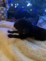 processed/b9423e81-4bb4-4394-957e-b5a8ea2d32e3/listing/d9f01012-06c3-439c-9fae-cf790c8ff624/6230440b-c720-46a7-a343-39afe54aef00