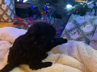 processed/b9423e81-4bb4-4394-957e-b5a8ea2d32e3/listing/d9f01012-06c3-439c-9fae-cf790c8ff624/6745320b-7e87-4a5f-9f24-ab4dba50f1d3