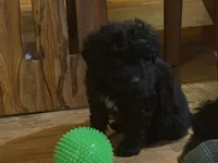 processed/b9423e81-4bb4-4394-957e-b5a8ea2d32e3/listing/d9f01012-06c3-439c-9fae-cf790c8ff624/874d1979-c898-4906-a81d-30c70de60fd2