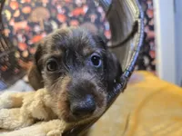 processed/b9473571-eabb-487c-9144-129ad46d22b9/listing/7d6c9ad6-d8fe-43f7-b226-160f507aca96/3ad87db3-b685-424a-be5d-d4052ae3ca33