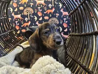 processed/b9473571-eabb-487c-9144-129ad46d22b9/listing/7d6c9ad6-d8fe-43f7-b226-160f507aca96/dd921759-4d83-46d7-a565-b00f415e9fa2