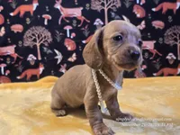 processed/b9473571-eabb-487c-9144-129ad46d22b9/listing/c99d1116-c0da-4149-a1d9-e7c853f528b0/049ca1d9-388d-4151-be12-13499dcc813a