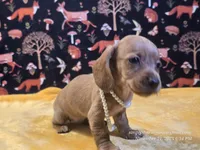 processed/b9473571-eabb-487c-9144-129ad46d22b9/listing/c99d1116-c0da-4149-a1d9-e7c853f528b0/d870c2d2-28ed-494d-8c3d-648b32dd617c