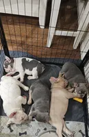 Facility photo