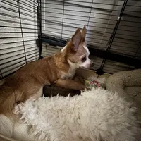 processed/b95f69e6-a922-4800-bc31-ba73eae5d6f7/facility/1dc0557e-cdfa-4a7f-8051-8e0925cad32c