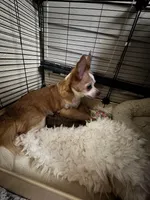 processed/b95f69e6-a922-4800-bc31-ba73eae5d6f7/facility/1dc0557e-cdfa-4a7f-8051-8e0925cad32c