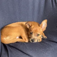 processed/b95f69e6-a922-4800-bc31-ba73eae5d6f7/facility/525ff2d9-9910-44bd-9ece-e3de53c74f90